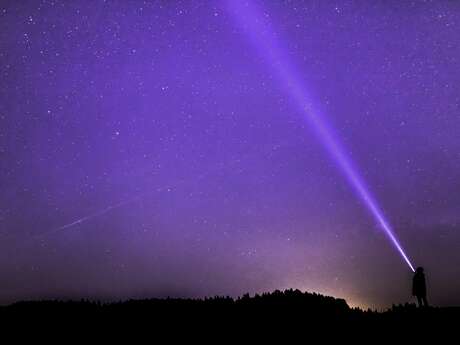 Des étoiles plein la toile