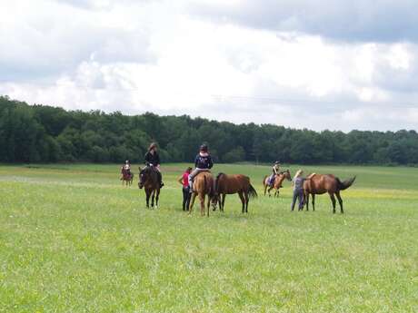 Equestrian itinerary St Etienne sur Reyssouze - St Nizier le Bouchoux