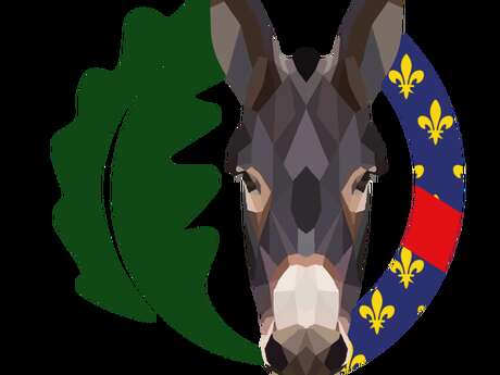 Association Bourbonnaise de Valorisation de l'Âne : Balades et animations à dos d'âne