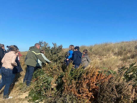 Dépot des Sapins