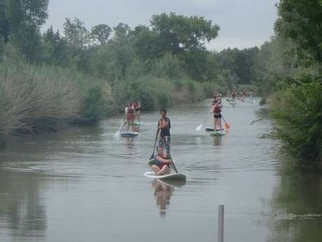 Stand Up Paddle: Erkundung des Sumpfes von Soumard