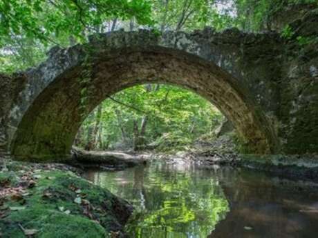 Forêt de Palayson, Bois du Rouet - deux sites Natura 2000
