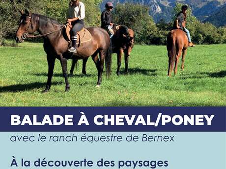 Promenade en poney et cheval