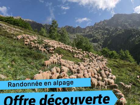 Offre découverte : Rencontres en alpage à Chaillol