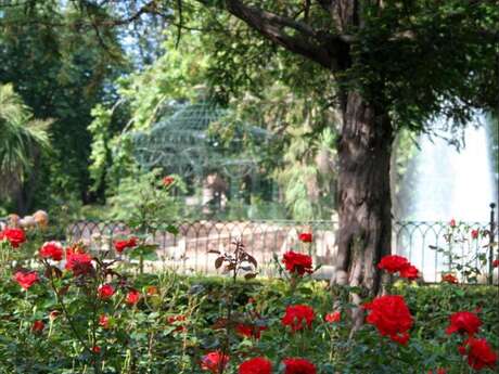 Le Pradet Côté Jardin: Setzlingsmesse