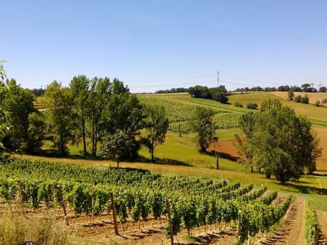 Domaine de Thermes