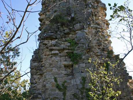 Ruines du château de Montfort