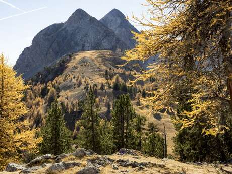 Le Col des Peygus