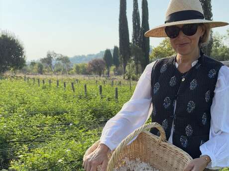 Domaine de la Dame : Visite et cueillette du Jasmin