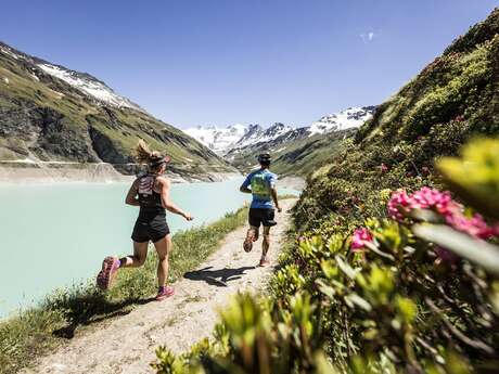 Swiss Peaks Trail