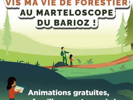 Découverte du marteloscope