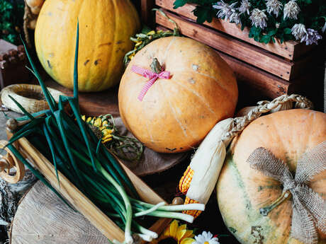 Seasonal fair