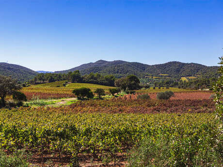 Christmas at Domaine de Favanquet