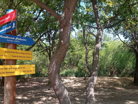 Sentier entre mer et étangs