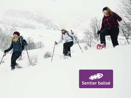 La Caronière - Winter hike