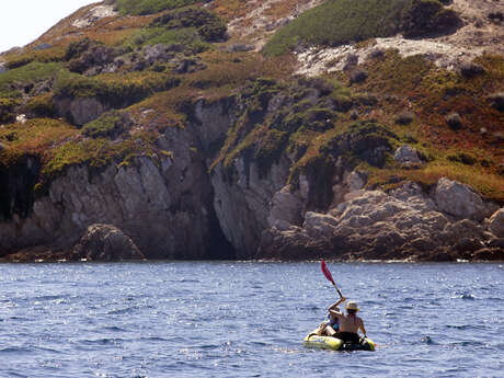 Balade en kayak ou paddle
