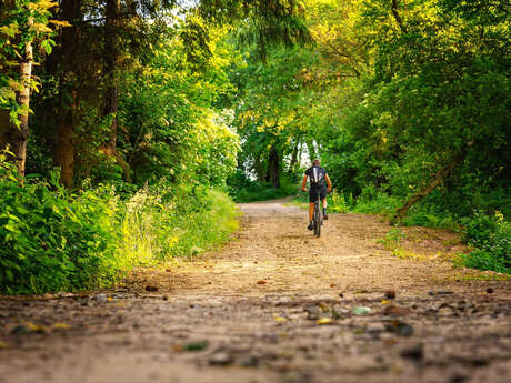 Les Marreliers à vélo