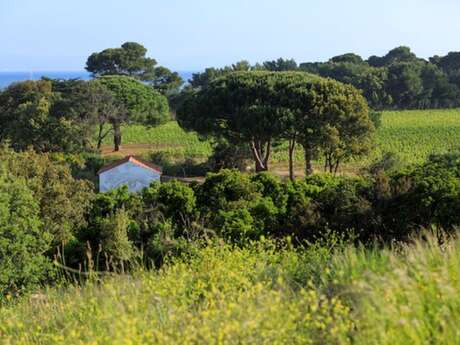 Workshop con Cyrielle Gulacsy a Villa Carmignac