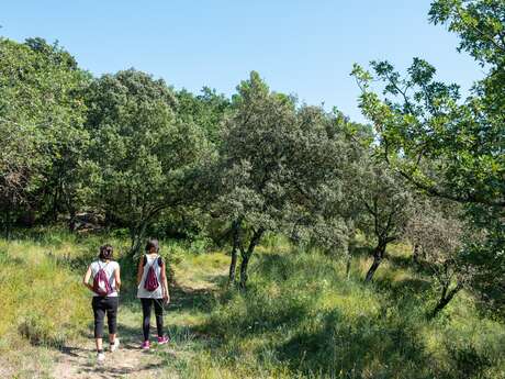 Sentier Chabrières - Bollène