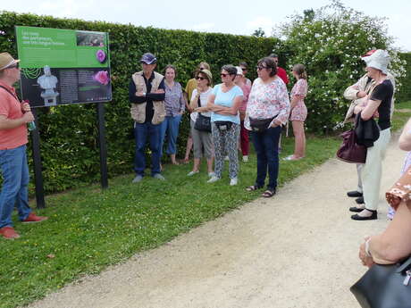 Visite guidée de la roseraie de Saint-Galmier