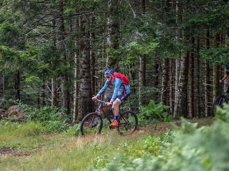 N°88 – Le Pays des Pions - Espace VTT-FFC Vichy Montagne