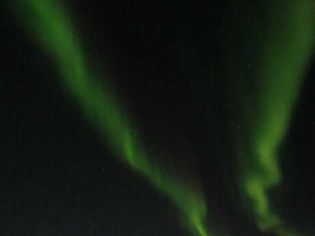 Les nuits de la lecture