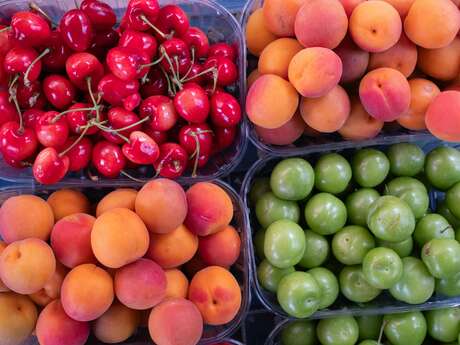 Conférence : Fruits et arbres fruitiers dans les Basses-Alpes