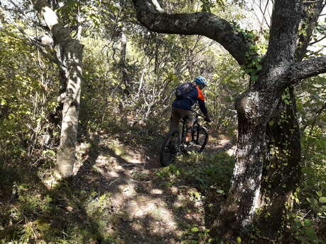 VTT n°16 - Le Saut du Moine