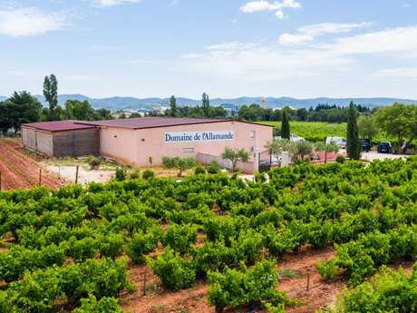 Domaine de l'Allamande
