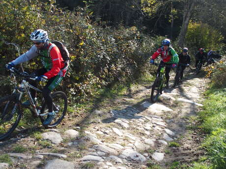 Le Vieil Ecotay - Circuit VTT en Forez