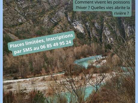 Balade naturaliste au bord du Verdon