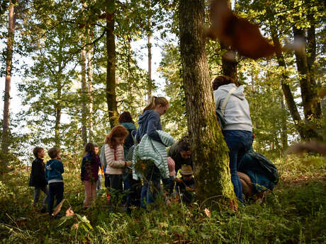 Petits gestes, grandes créations - atelier en famille
