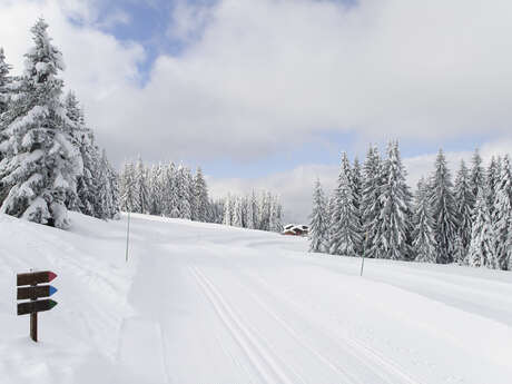 Le Tour du Golf hiver