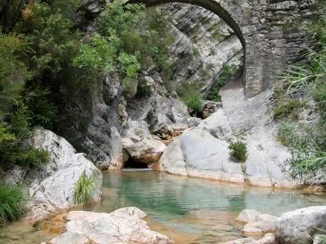 Vasque naturelle de la Carleva