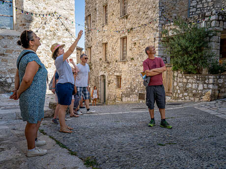 "Art & Heritage" guided tour in English