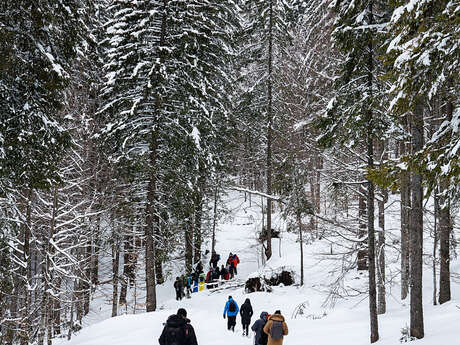 Randonnée pédestre encadrée sur le versant ensoleillé du Mont de Grange avec Martine Dupont