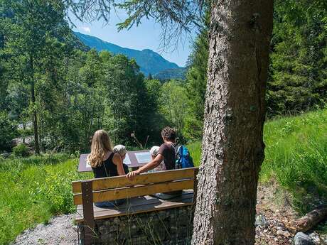 "Drunken Forest" discovery trail