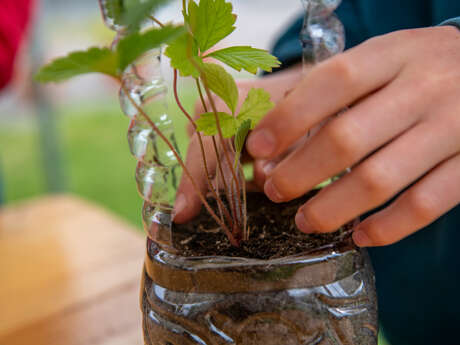 Atelier créatif : Kokedama