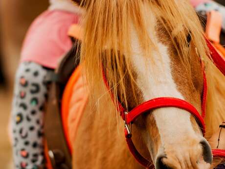 Festi'Pichoun: aufblasbare Hüpfburgen, Holzspiele - Ponyreiten