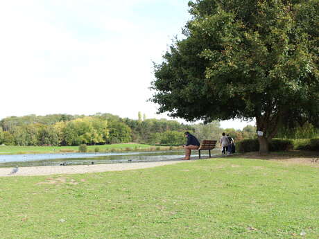 Actividad - Juego del sendero natural - "Arbre mon voisin"