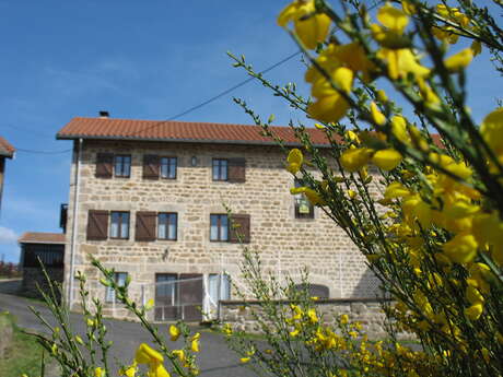 Gîte les Jonquilles