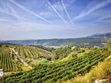 Tour des Vignobles de Bellet à Vélo