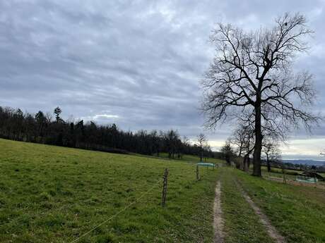 Sentier Les Caquignons