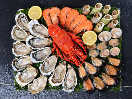 Coquillages du Roy René