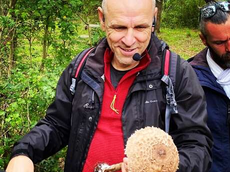 Stage : Cueillette de champignons