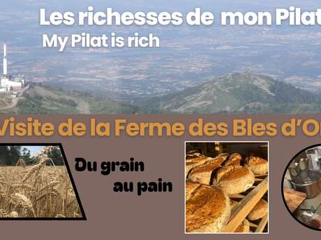 visite de La Ferme des Blés d'Or