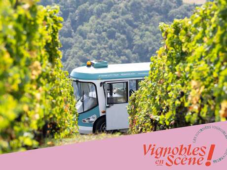 Côte-Rôtie Tour de Vignobles en Scène