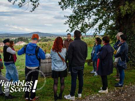Vignobles en scène - les journées vignobles et découvertes en Loire Forez