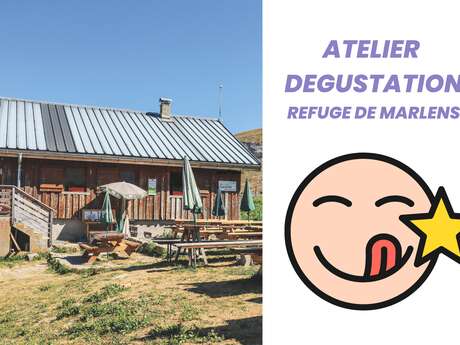Dégustation au refuge de l'Aulp de Marlens