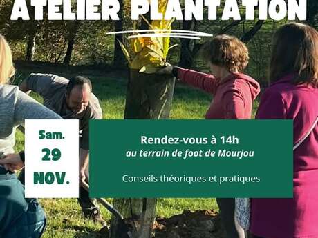 La plantation - Apprentissage à la Maison de la Châtaigne